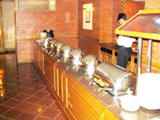 Hotel Mahal לודהיאנה מראה חיצוני תמונה